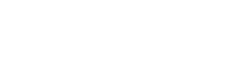 Changamire Logo